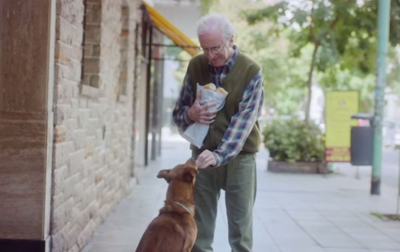 El Hombre Y El Perro 784x495