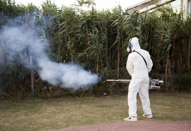 Dengue
