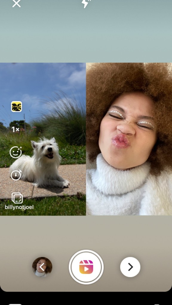 Perrito 576x1024