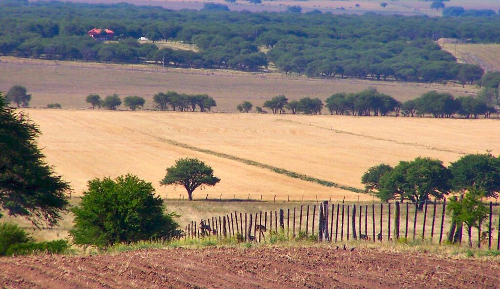 Paisaje 1024x592