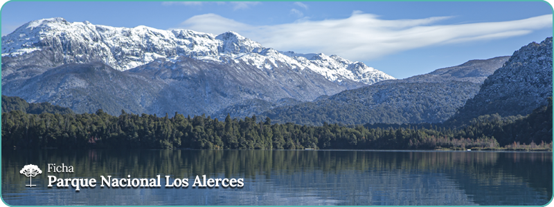Alerces
