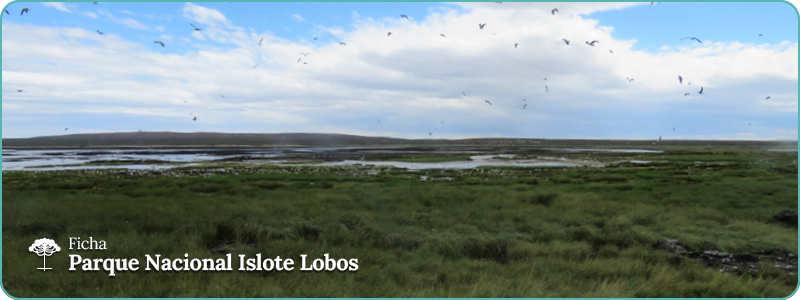 Islote