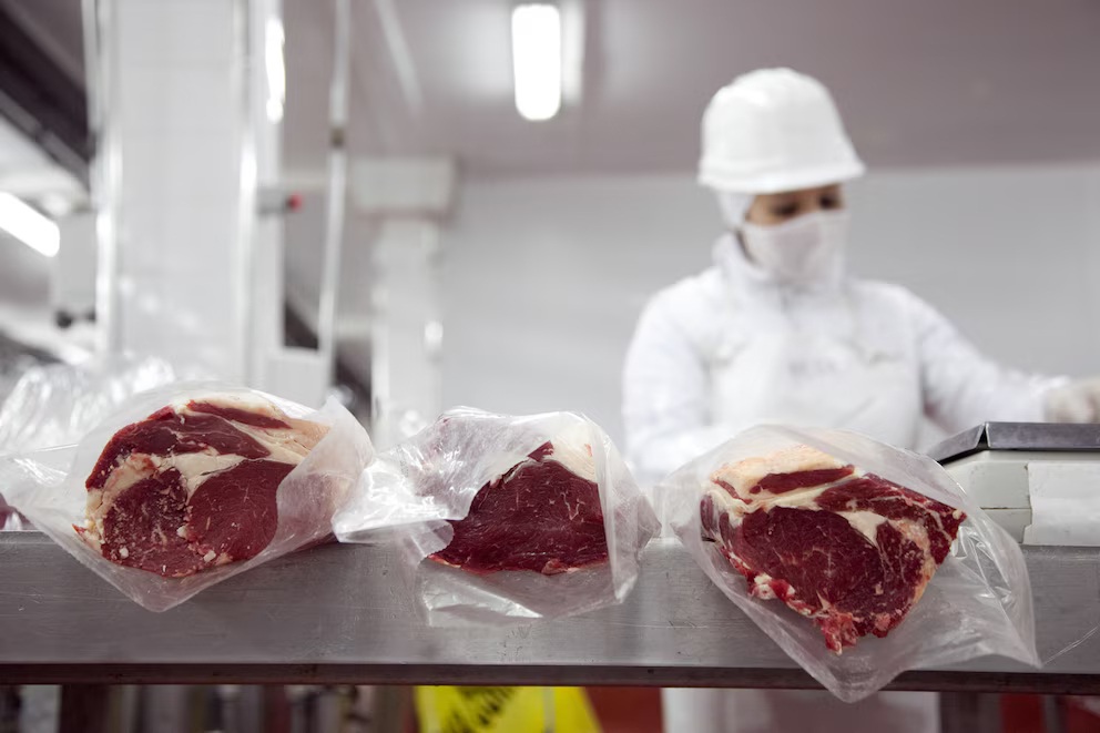 Alimentos