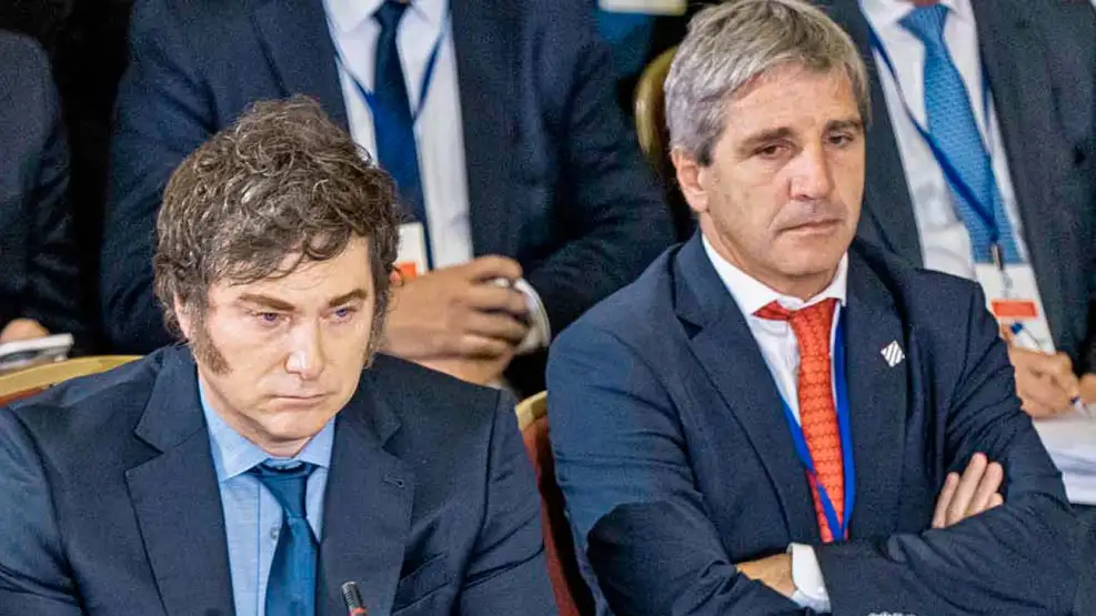 Duque 6