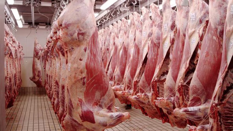 El gobierno de Estados Unidos cuadruplicó la cuota para importar carne vacuna desde la Argentina Exportaciones