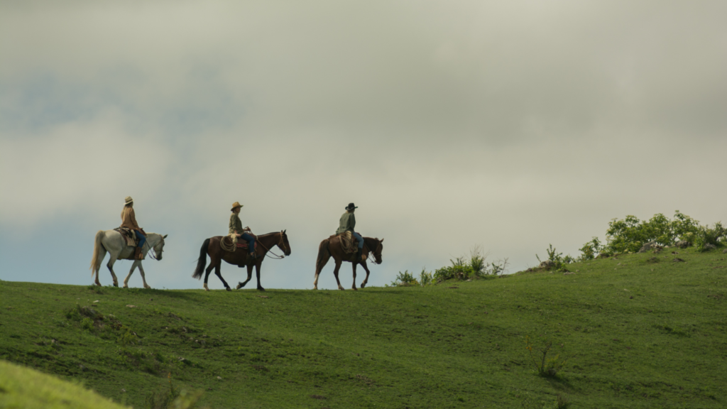 Caballos 1024x576