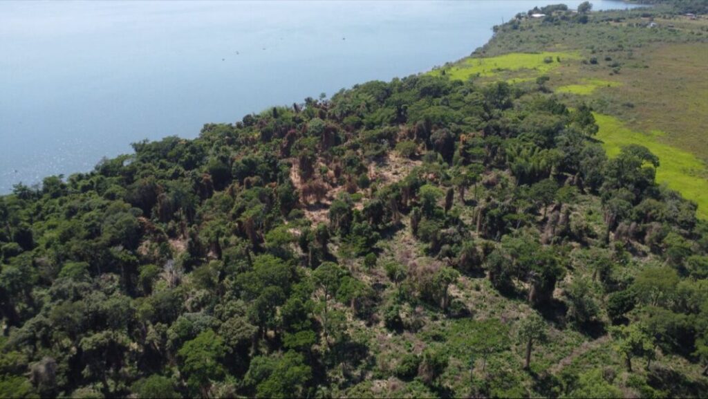 Bosques 1024x577