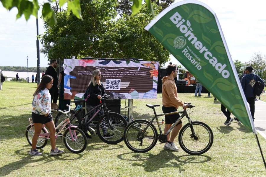 Bicicletas