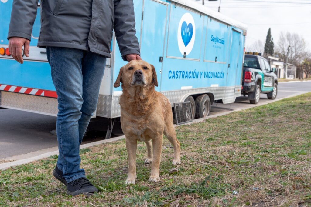 Perrito 1024x683