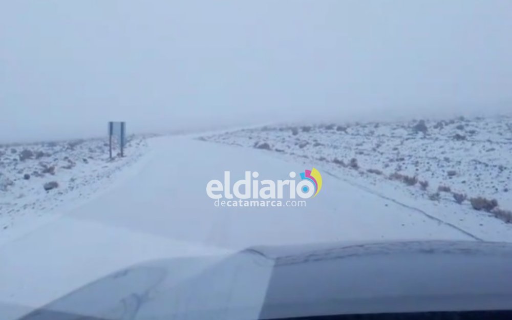 Nieve