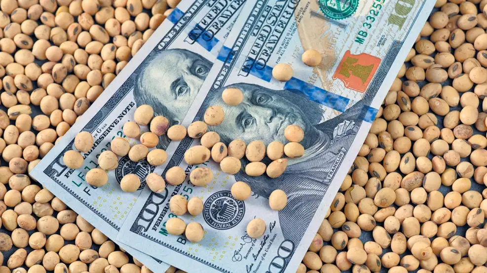 Más allá de la cosecha récord, el agro liquidó US$ 2.677 millones en mayo, pero acumula una baja del 12% en el año Verdes