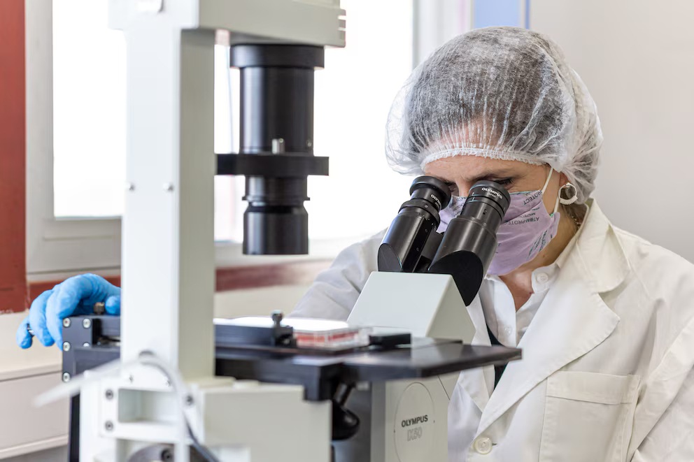 Microscopio